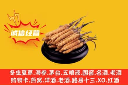 雁塔区回收冬虫夏草